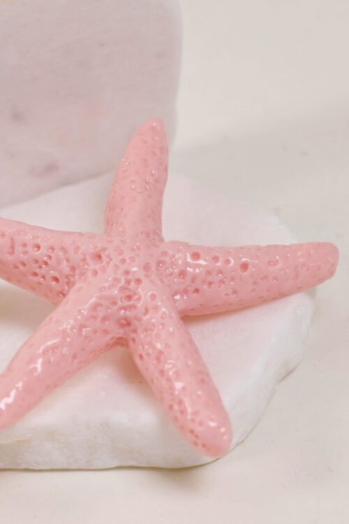 Alternative view of ORECCHINI A STELLA MARINA