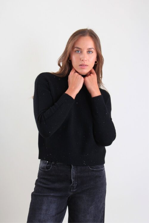 MAGLIA A COLLO ALTO E MICROPAILLETTES