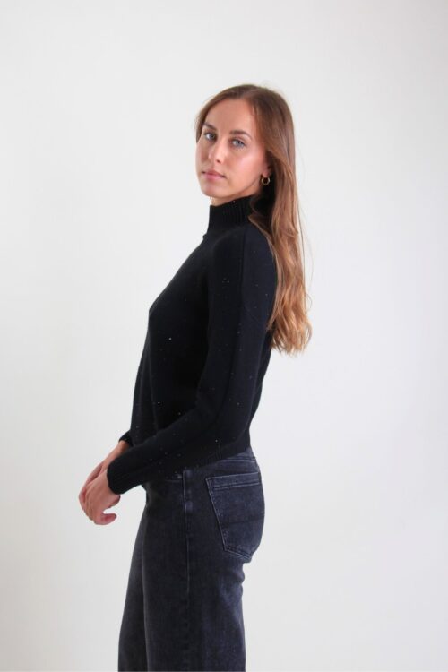 Alternative view of MAGLIA A COLLO ALTO E MICROPAILLETTES