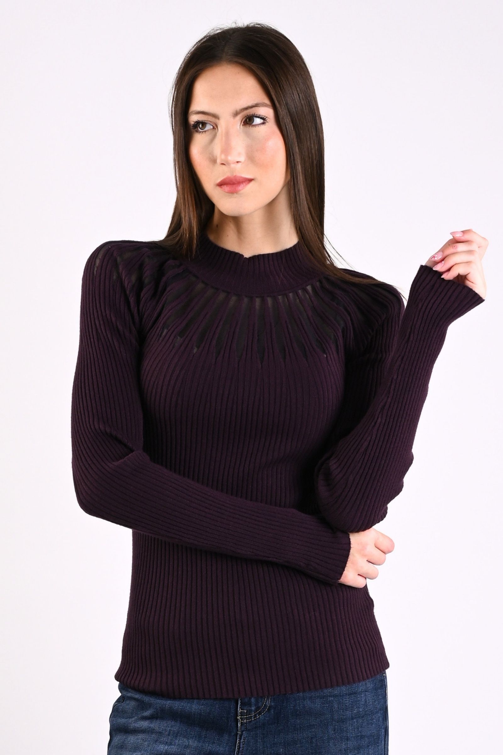 31 MAGLIA CON EFFETTO TRASPARENZA - Prugna, TU
