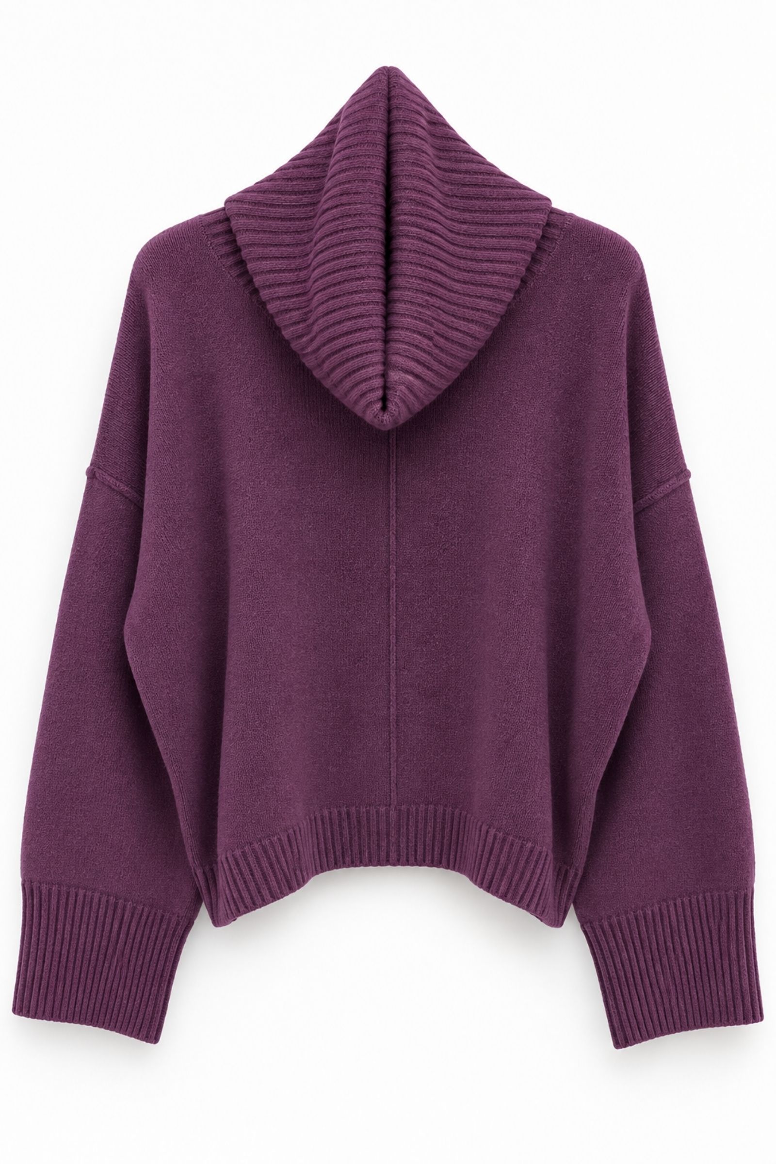 U100078-06_PRUGNA MAGLIA CON COLLETTO STACCABILE E MANICHE AMPIE - Prune, TU